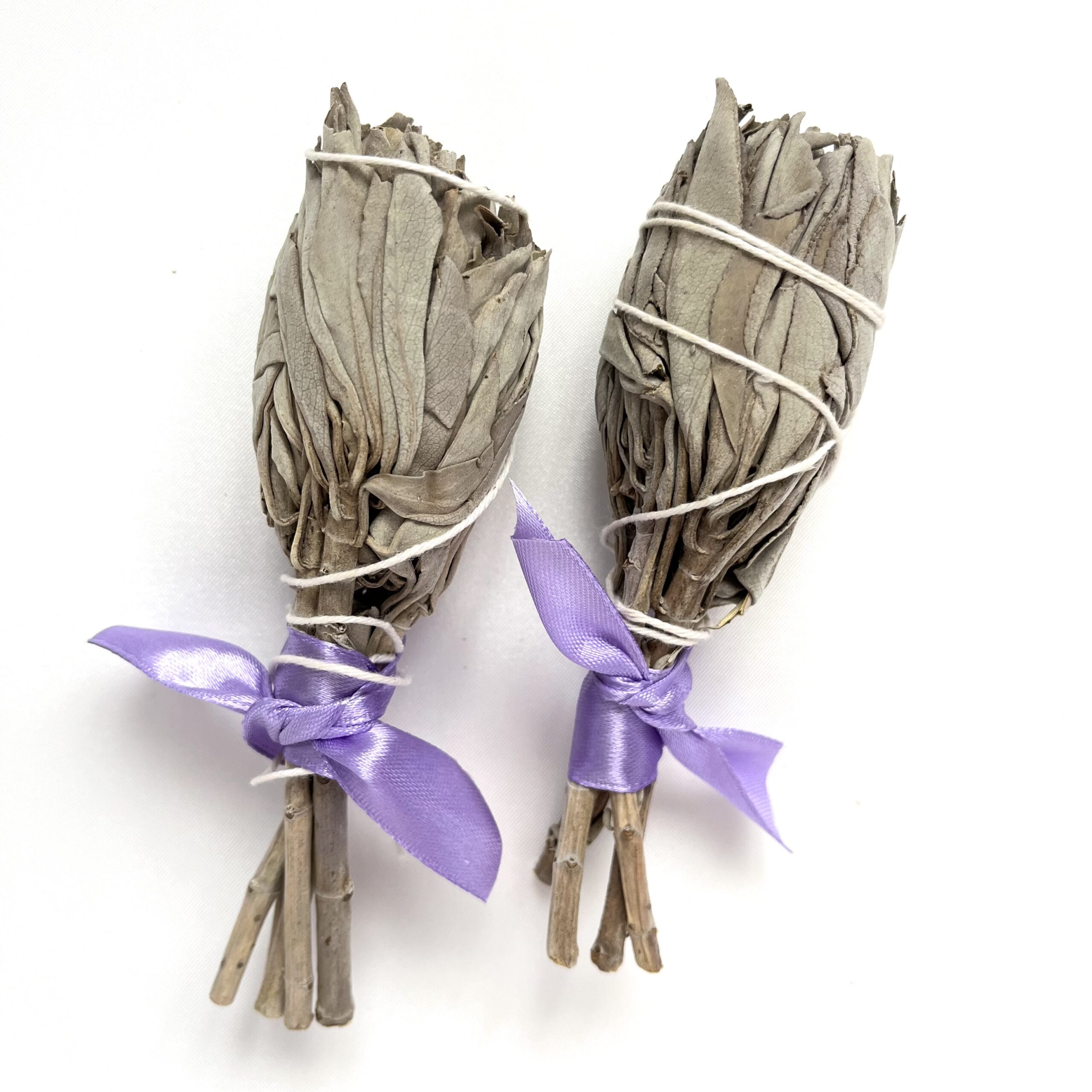 IMG_5307 Biała szałwia pęczek - obrazek 1